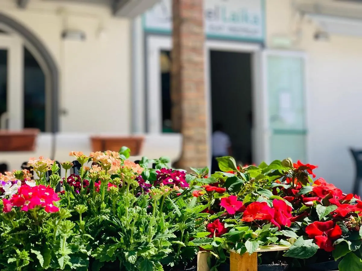 Hotel Laika Rimini 2*,  Italien